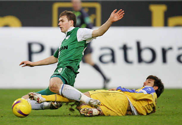 长的重要动 长的重要动